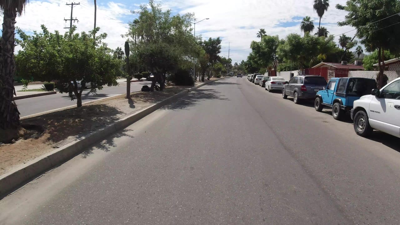 Sunlit residential road with parked cars and palm trees