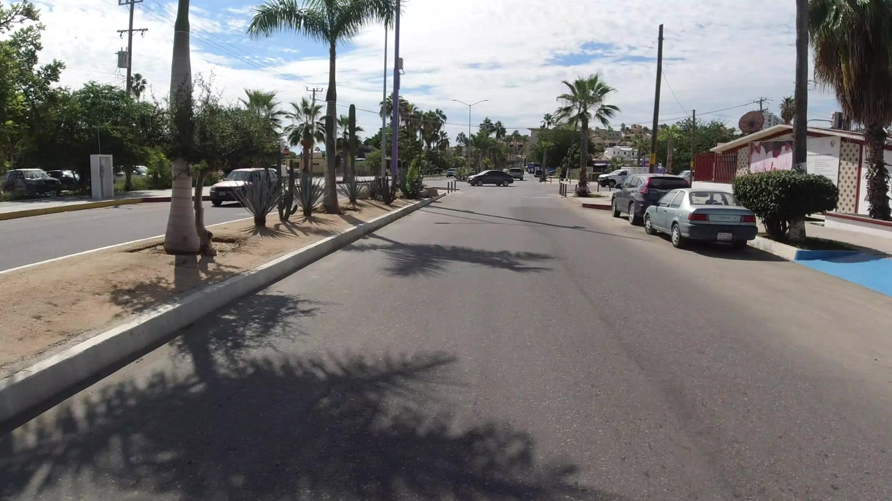 A Los Cabos road seen from vehicle height, with palm trees, parked cars, curbside dry landscaping, low buildings, overhead wires, and no clearly visible people.