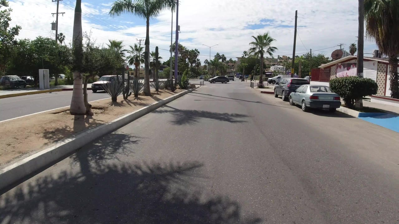 A wide Los Cabos street view shows a curbside lane, palm trunks, parked cars, desert plants, low buildings, utility poles, and no clearly visible people.