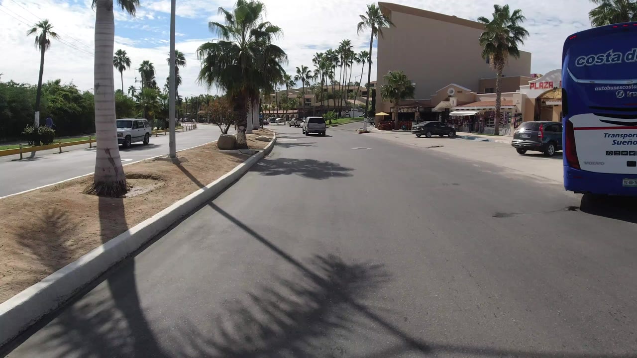 Sunny palm-lined road with a blue bus at the right edge.