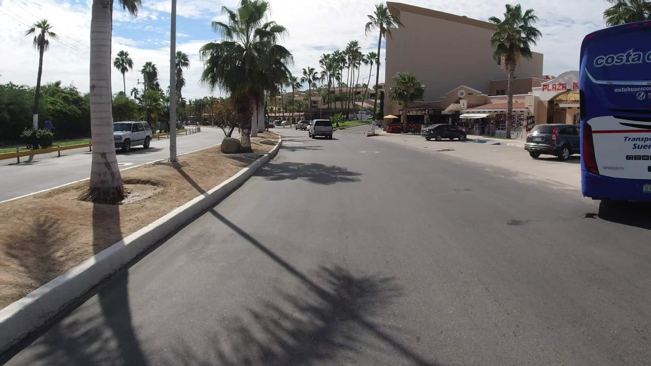 Los Cabos street view with a blue bus filling the right side, cars farther ahead, palm trunks along the median, storefronts, and no visible people.