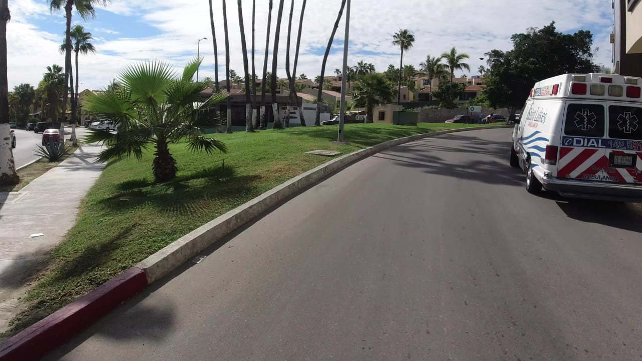 Los Cabos driving view continuing behind the ambulance, with a small palm in the left lawn, tall palms along the curb, parked cars, and no visible people.