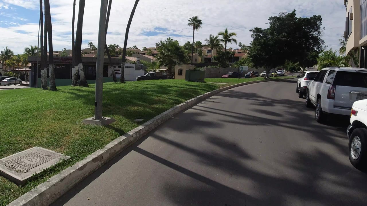 Curving neighborhood street with palms, grass, and white vehicles parked at right.