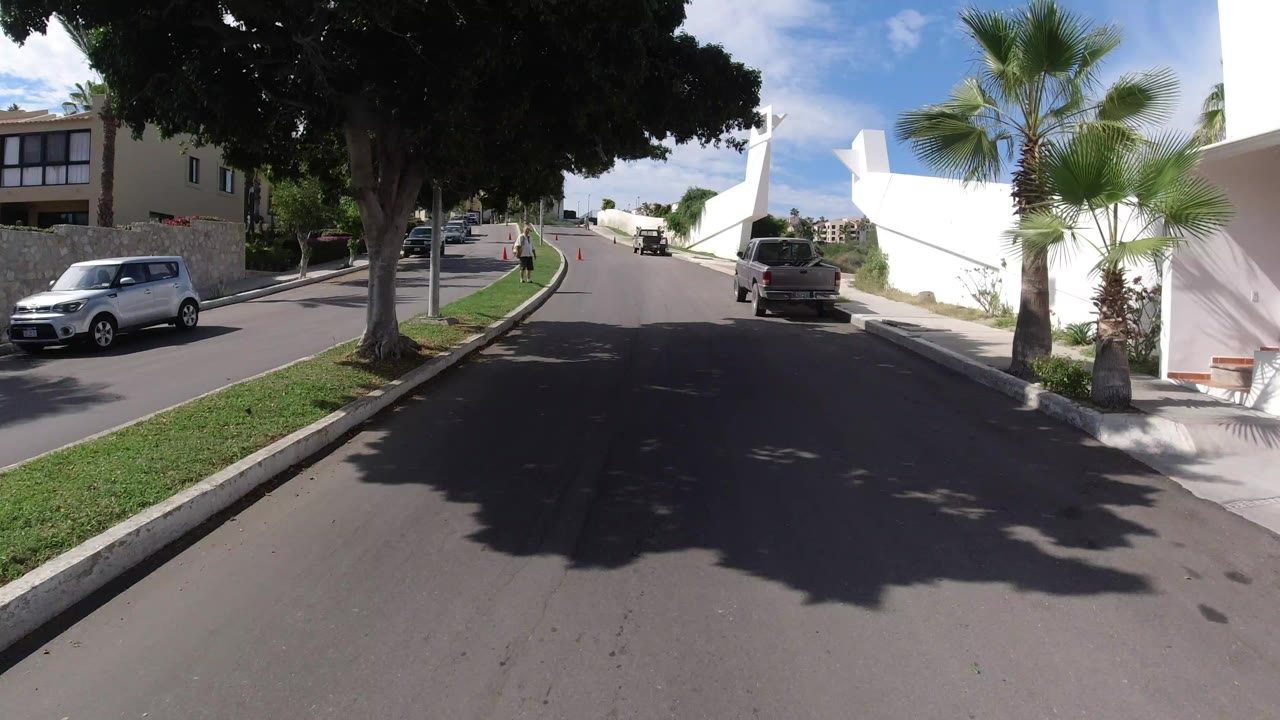 Wide road with parked cars, palms, white wall, and residential buildings