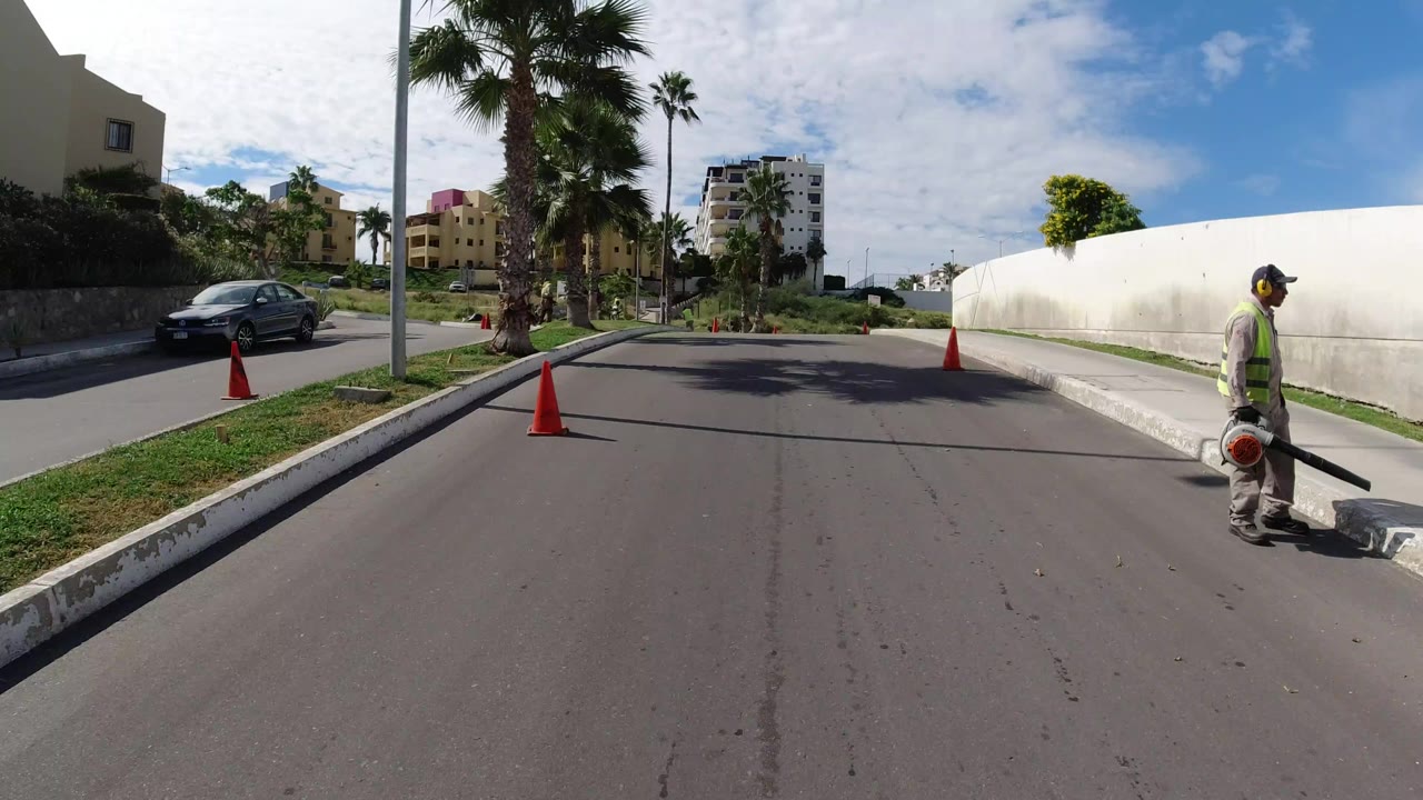 Palm-lined road with cones and a worker at the right edge.