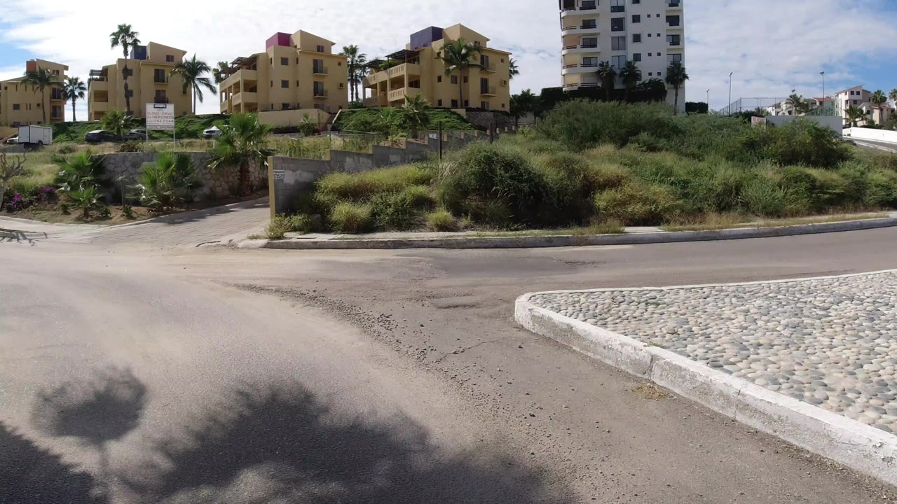 Curved paved road with yellow buildings, palms, and tall grass