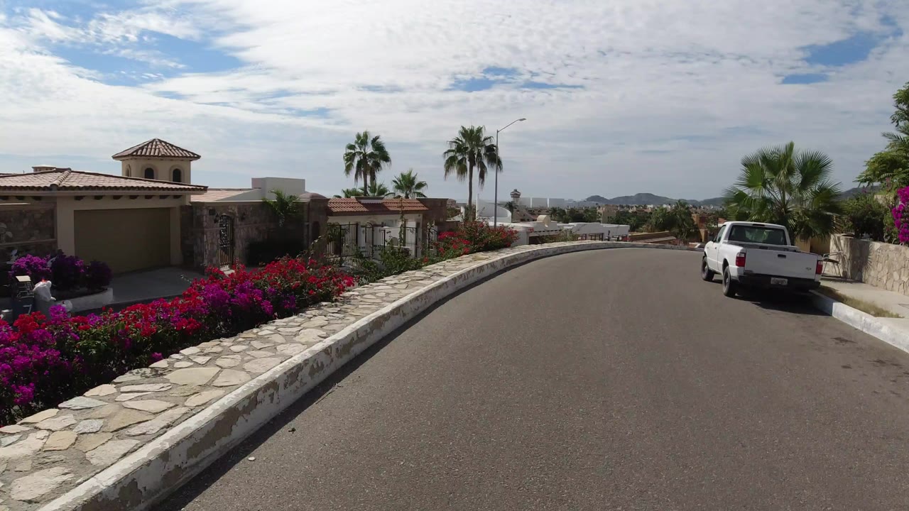 Sunny residential road with stone curb, flowers, palms, homes, and a white pickup.