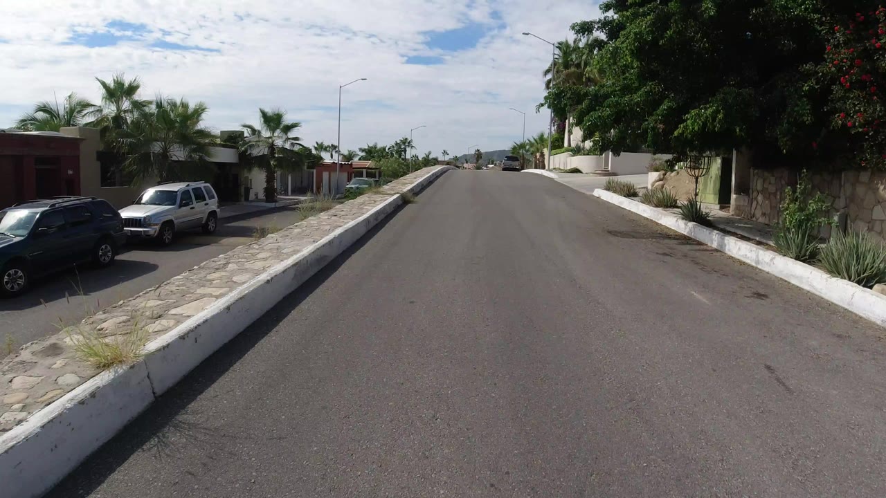 Quiet uphill road with parked cars and palm-lined homes