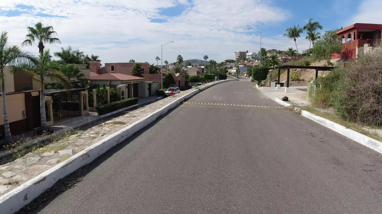 Residential road with speed bumps, palms, and walled homes.