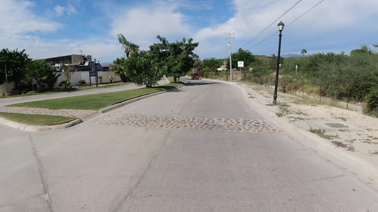 Palm-lined road with trees, homes, dry roadside land, and blue sky.