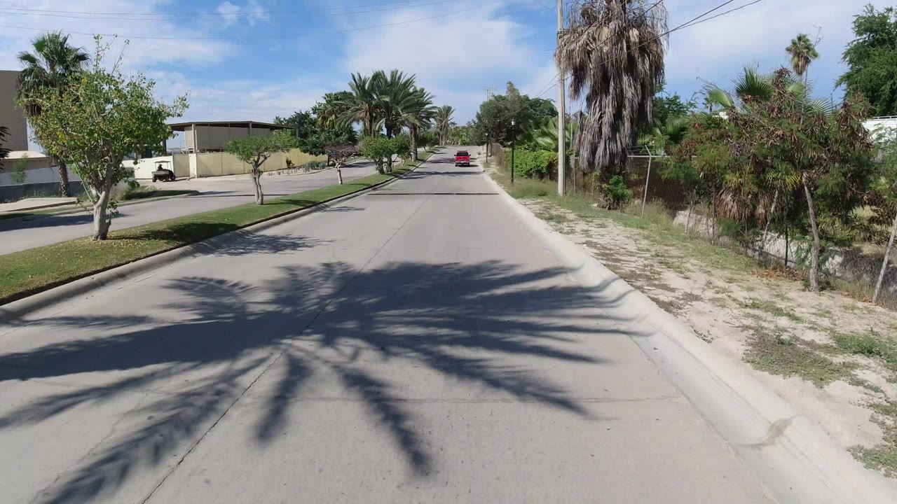 Los Cabos road frame with a yellow building or wall on the left, palms on both sides, a red car farther down the street, and no visible people.