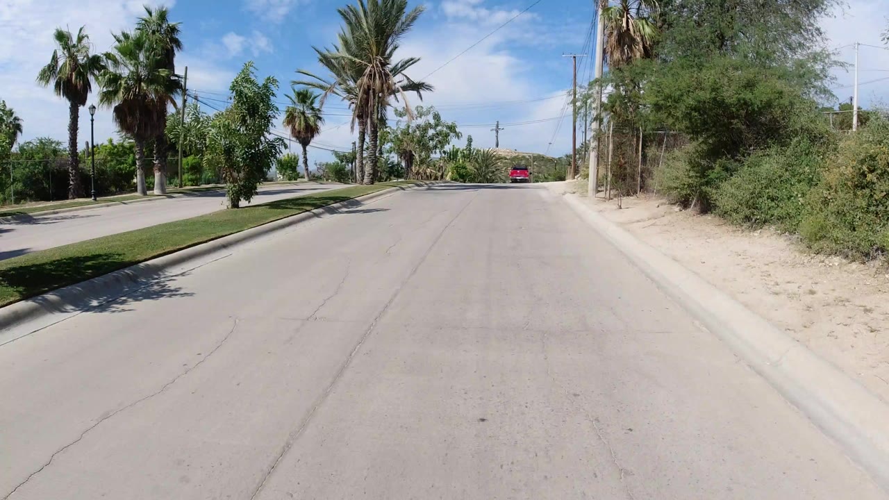 Palm-lined road with sandy shoulder and distant hills.