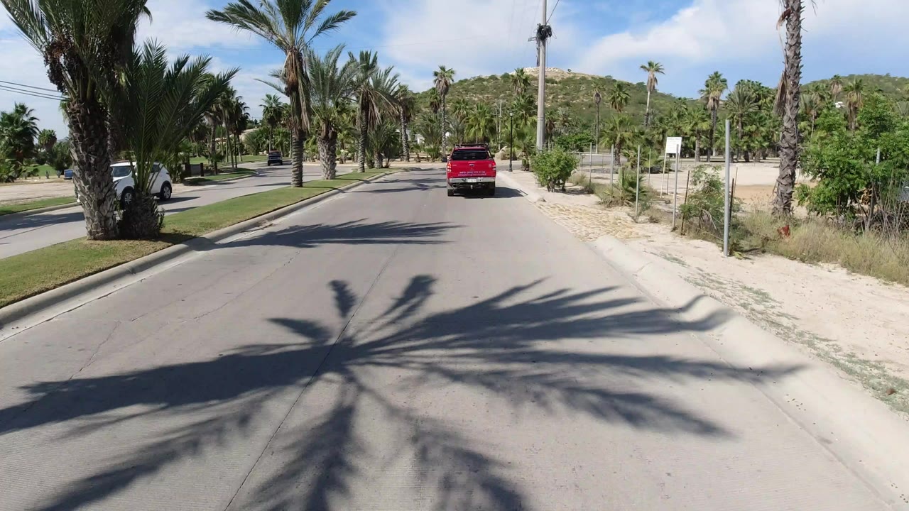 Red pickup ahead on a palm-lined paved road.