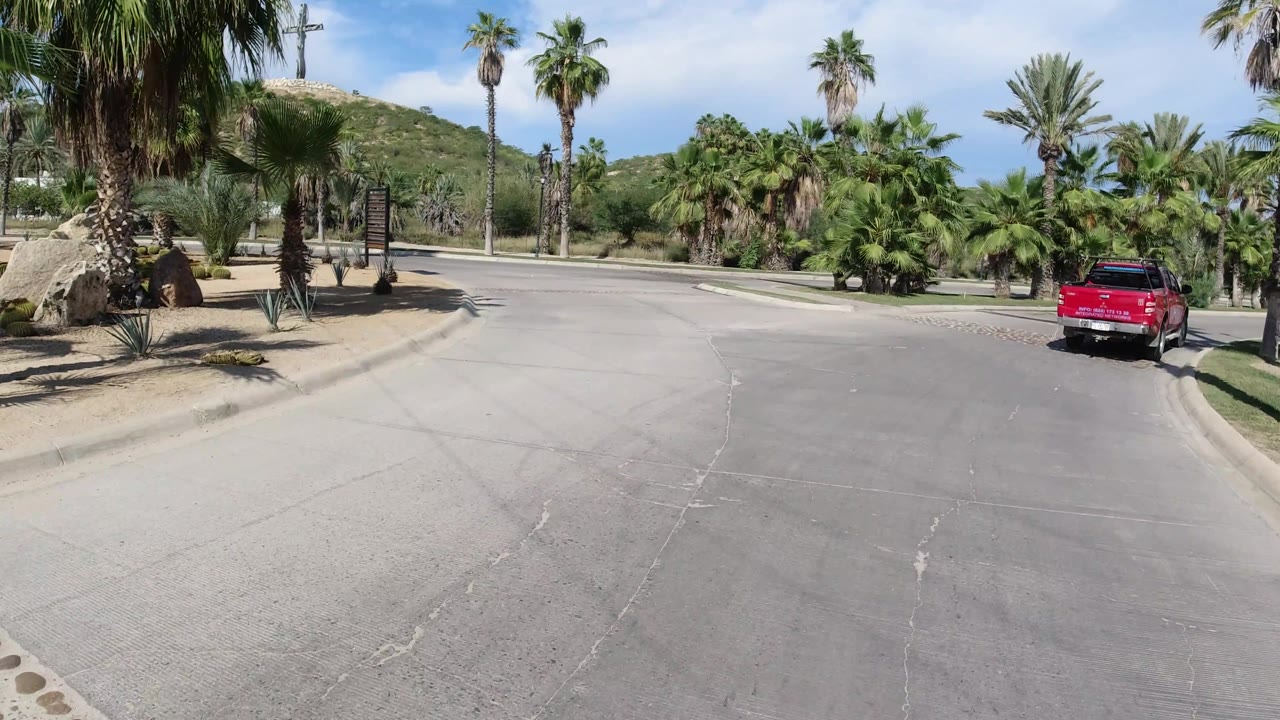 Red pickup near the right curb on a palm-lined intersection.