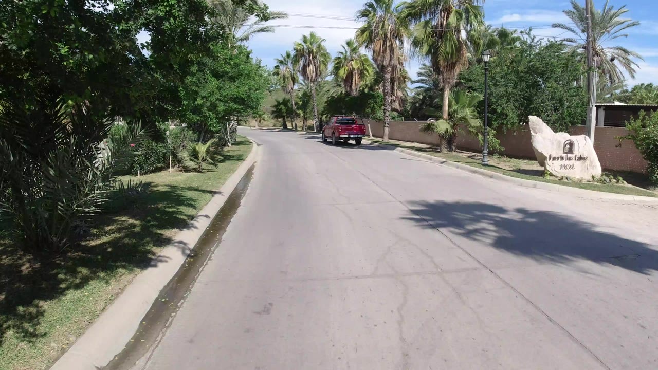 Palm-lined road with a red Wrangler ahead and a stone entrance sign on the right.