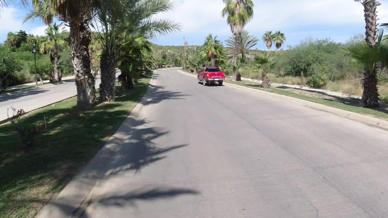 Red Wrangler driving away on a palm-lined road