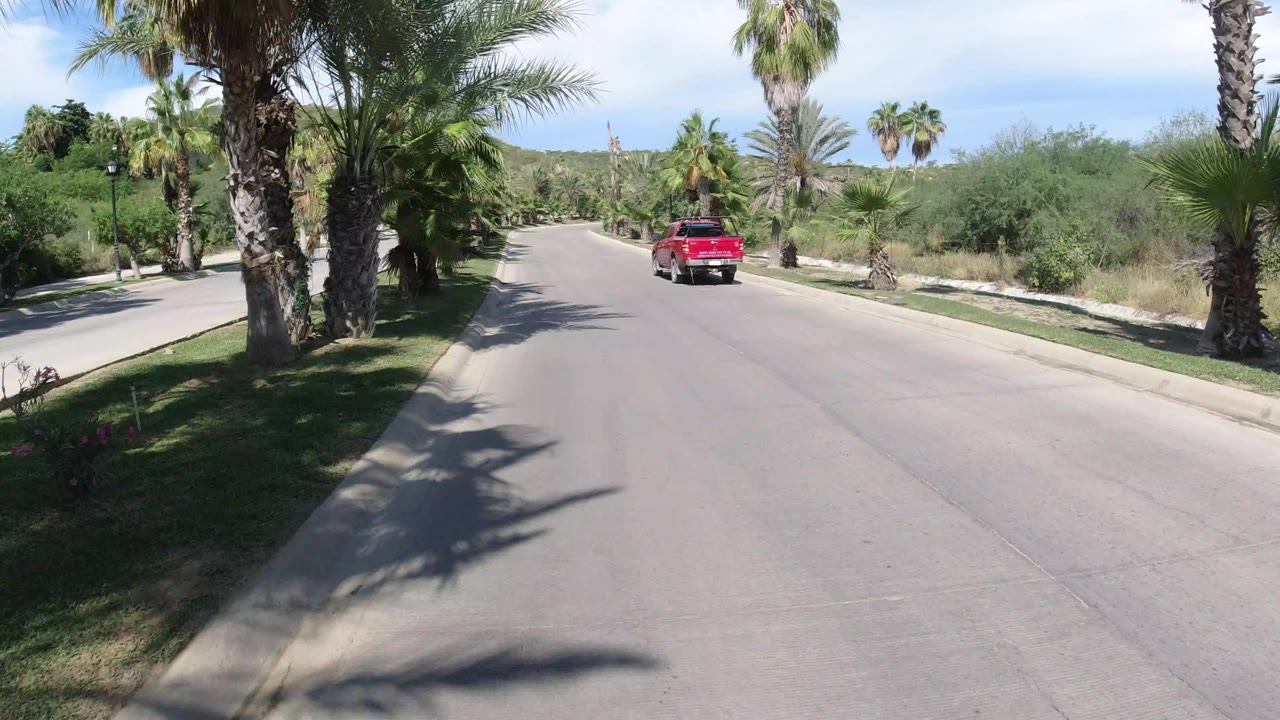 The red Wrangler continues away from the camera on the Los Cabos road, framed by tall palms, trimmed grass, shrubs, and bright pavement with no visible people.