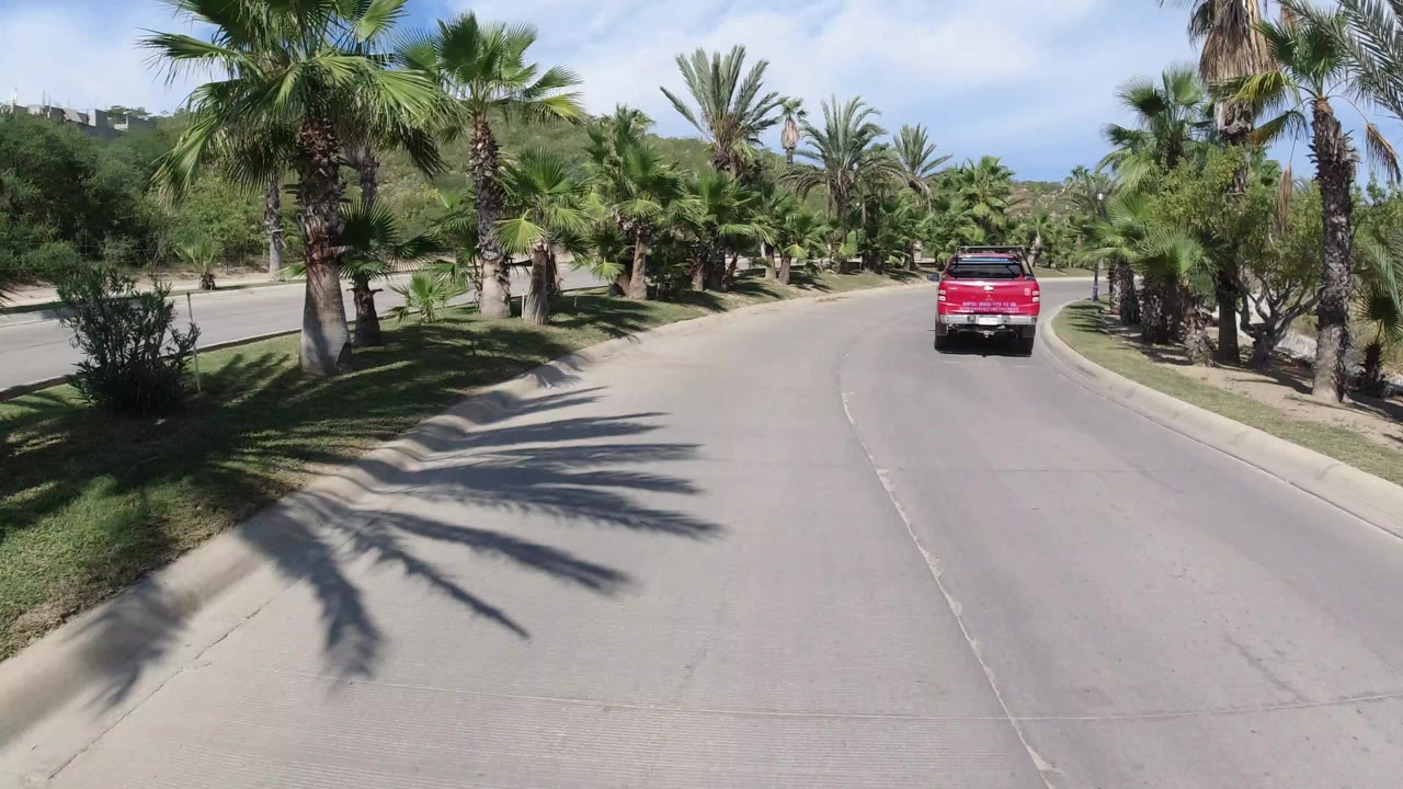 Red pickup driving away on a palm-lined road.