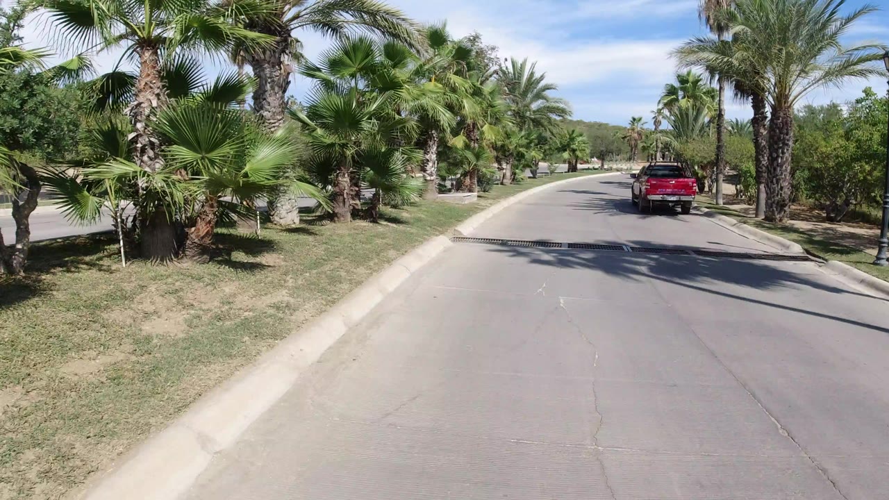 A Los Cabos roadway bordered by palms and trimmed grass, with a red pickup truck centered ahead under bright sky and no visible people.