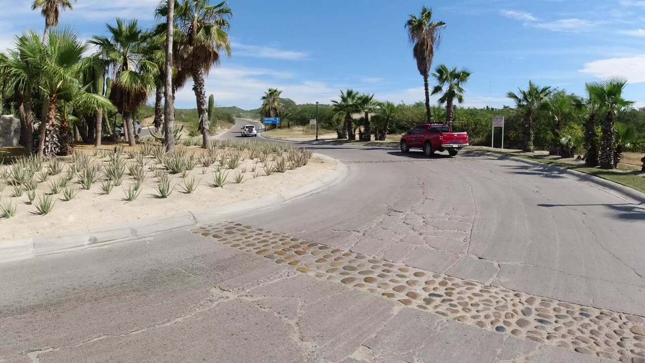 Palm-lined ring road with a red pickup and sandy roadside planting.