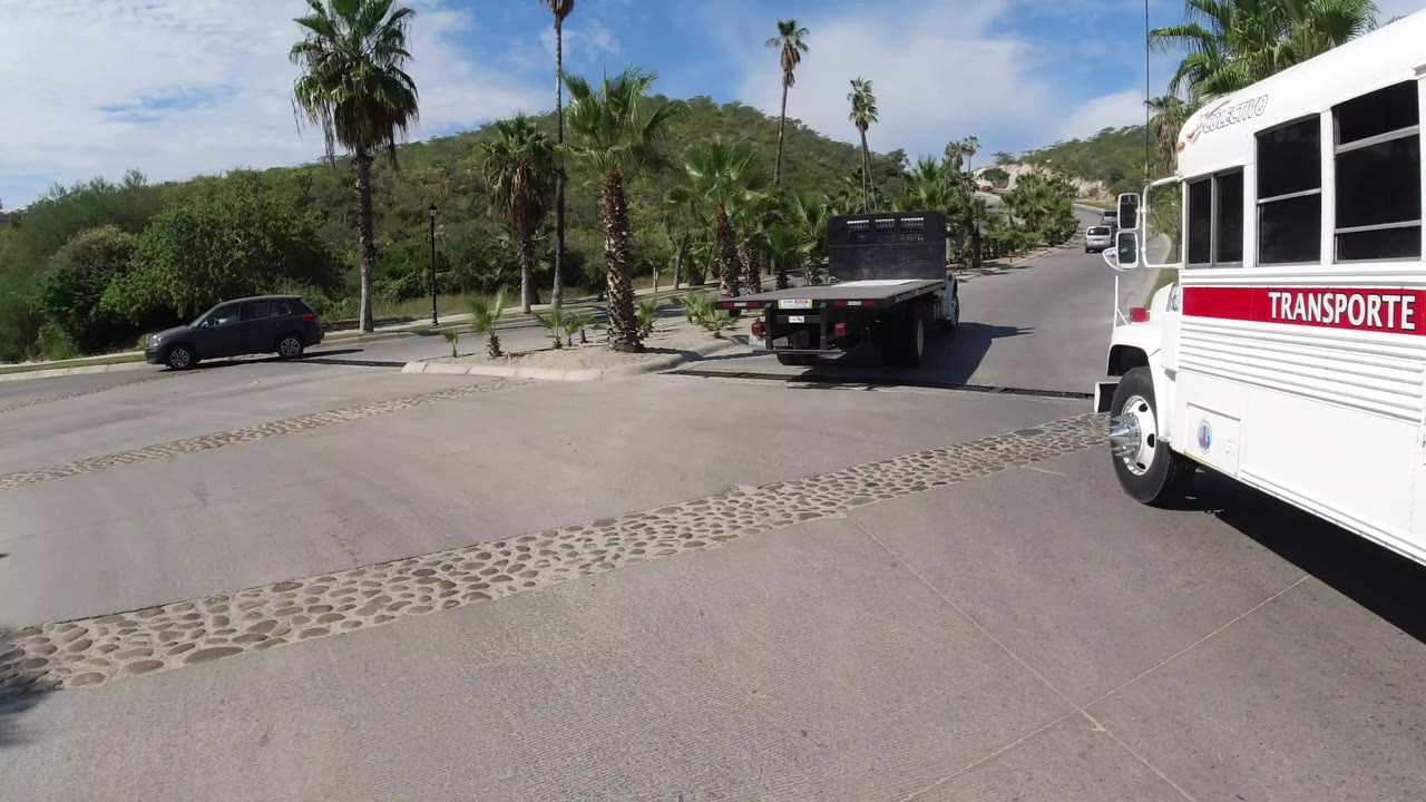 A white transport bus enters close at right while a black flatbed truck drives ahead on a palm-lined road in Los Cabos, Mexico, with no visible people.