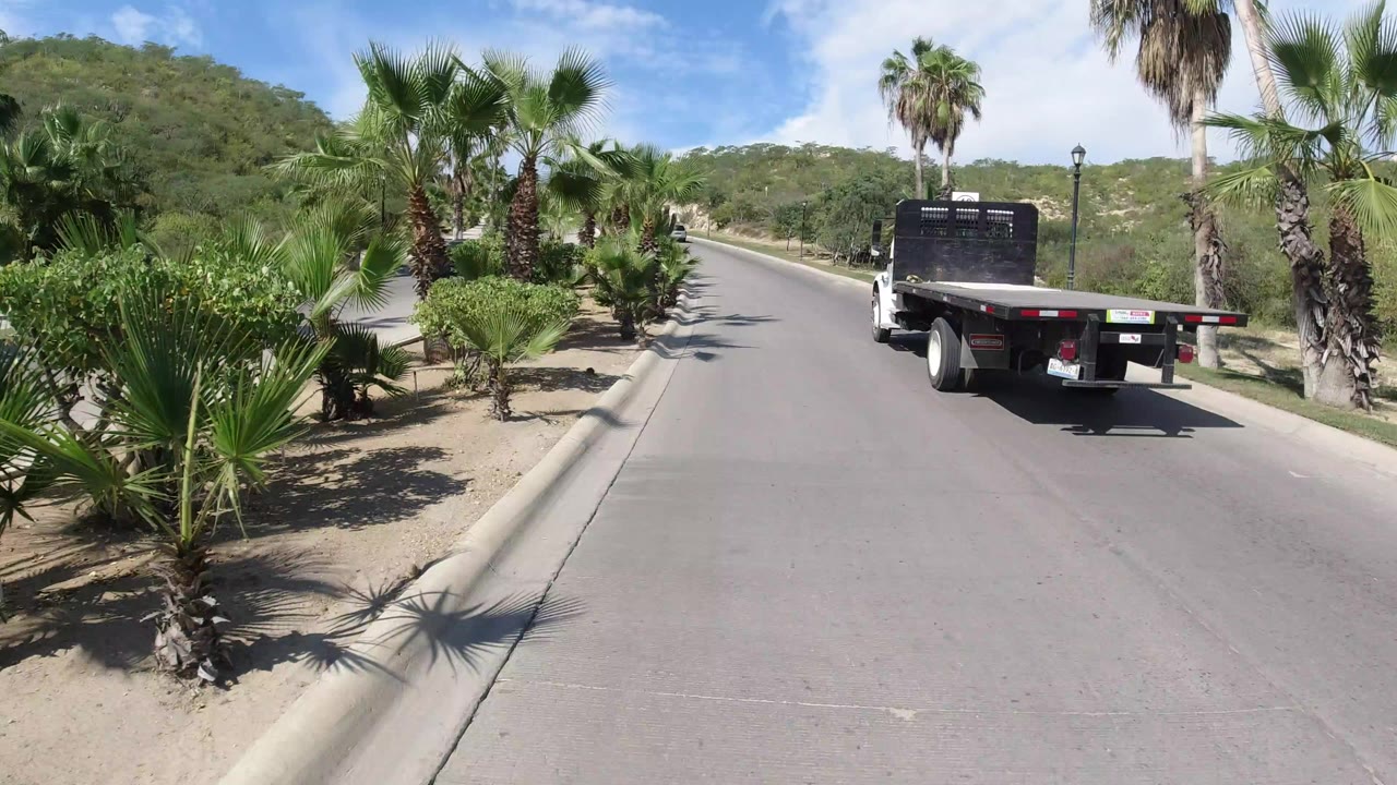 Palm-lined divided road with a white flatbed truck ahead