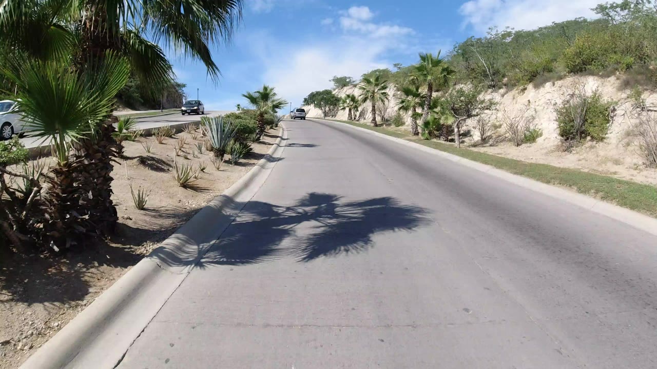 Wide uphill road with palm trees, desert plants, and cars in bright sun.