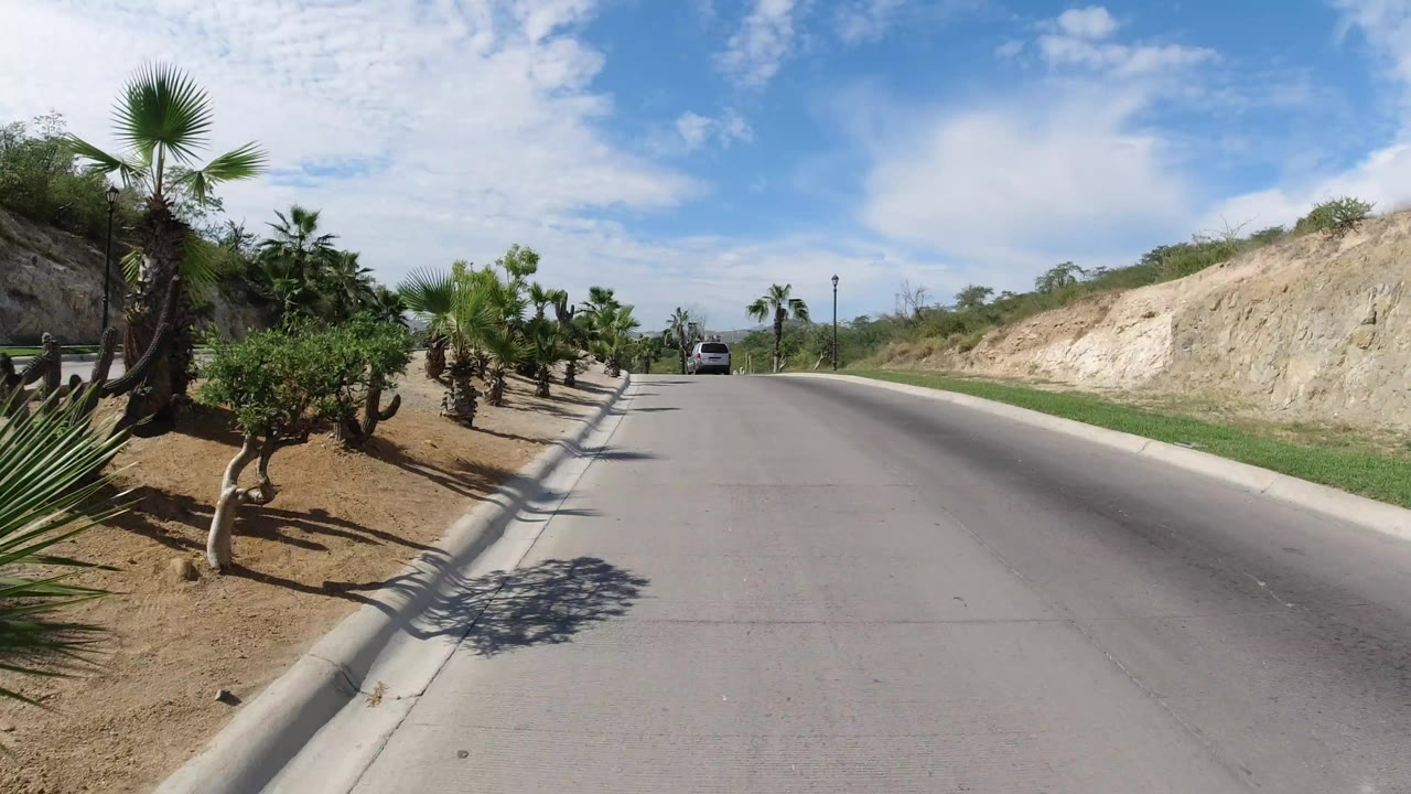 Paved road with cacti, palms, and a vehicle ahead.