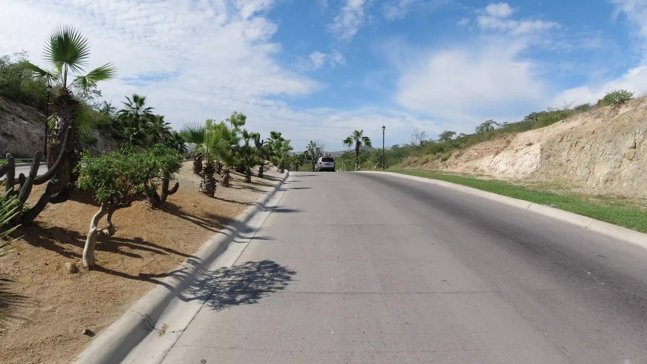 A forward road view in Los Cabos shows the curb, trimmed desert plants, palms, a pale hillside, and the vehicle centered farther down the lane, with no visible people.