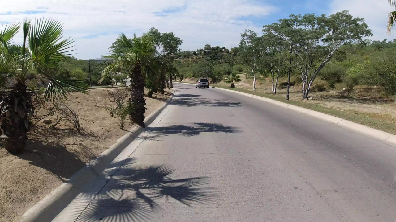 Elevated road view in Los Cabos with the camera farther along the curbside palms, a dark vehicle centered ahead, scrubby greenery, and no visible people.