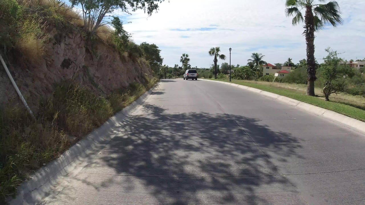 Palm-lined road with a dark vehicle ahead beside a rocky embankment.