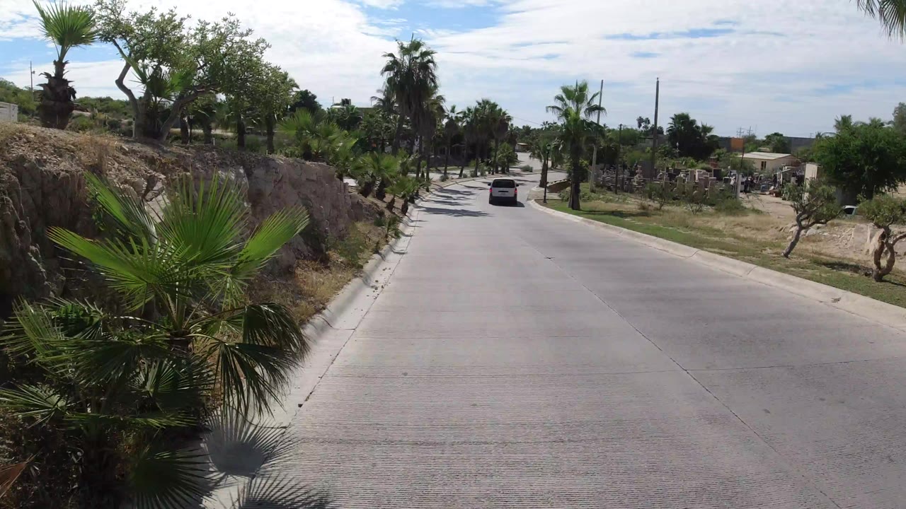Palm-lined paved road with a van ahead under bright sky.