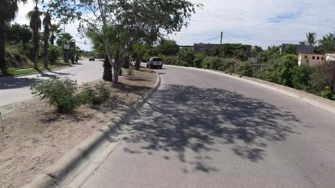 Wide paved road curving past palms and shrubs in bright daylight.