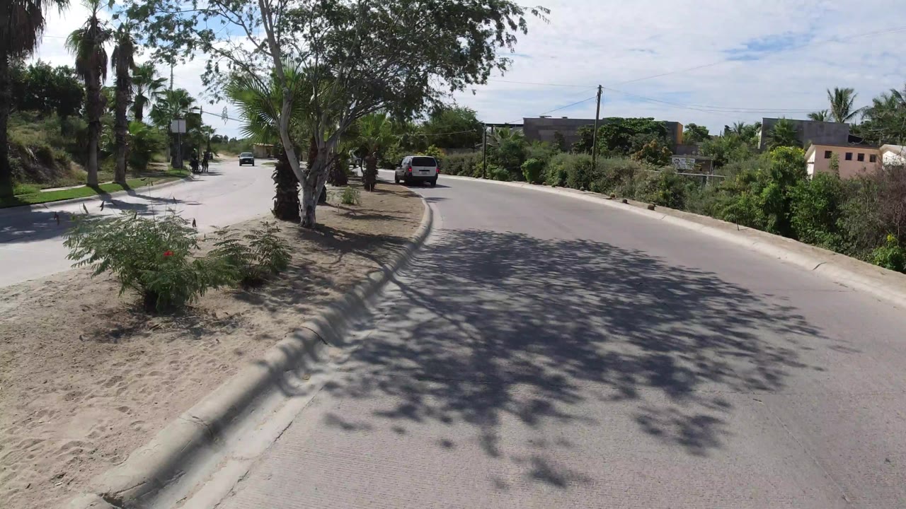 Los Cabos street view with a white vehicle ahead, roadside palms, dense shrubs, sandy ground, and no visible people.