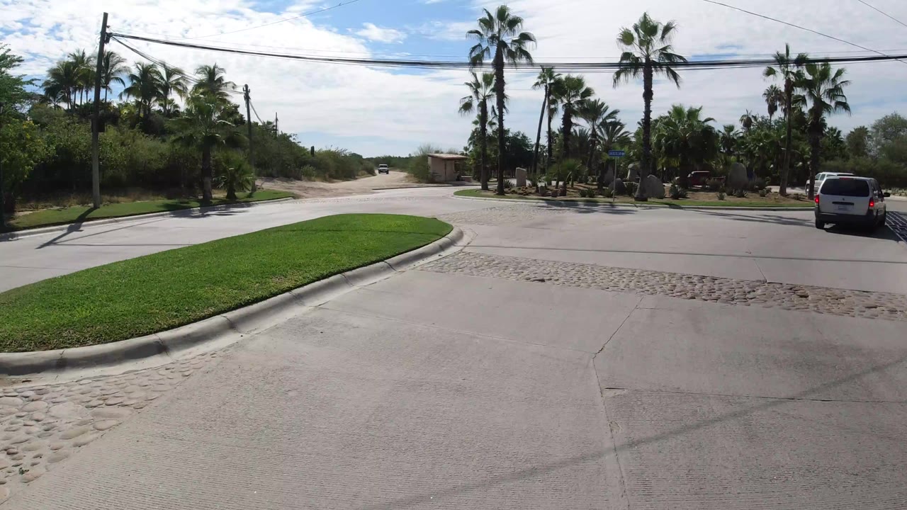 Palm-lined roundabout road with a white van near the right curb.