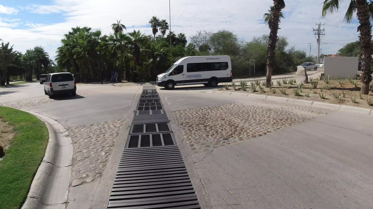 Palm-lined road entrance with white vehicles and drainage grate