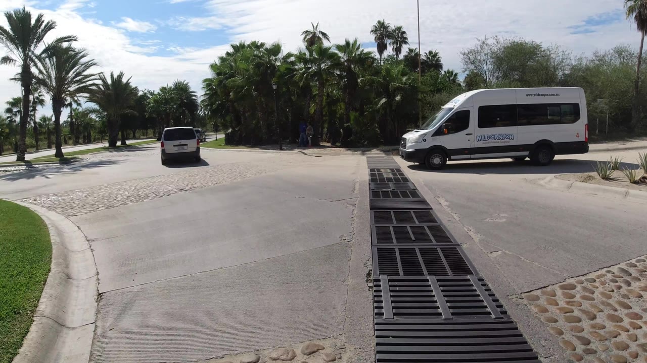 Road curving past palms with white vehicle ahead