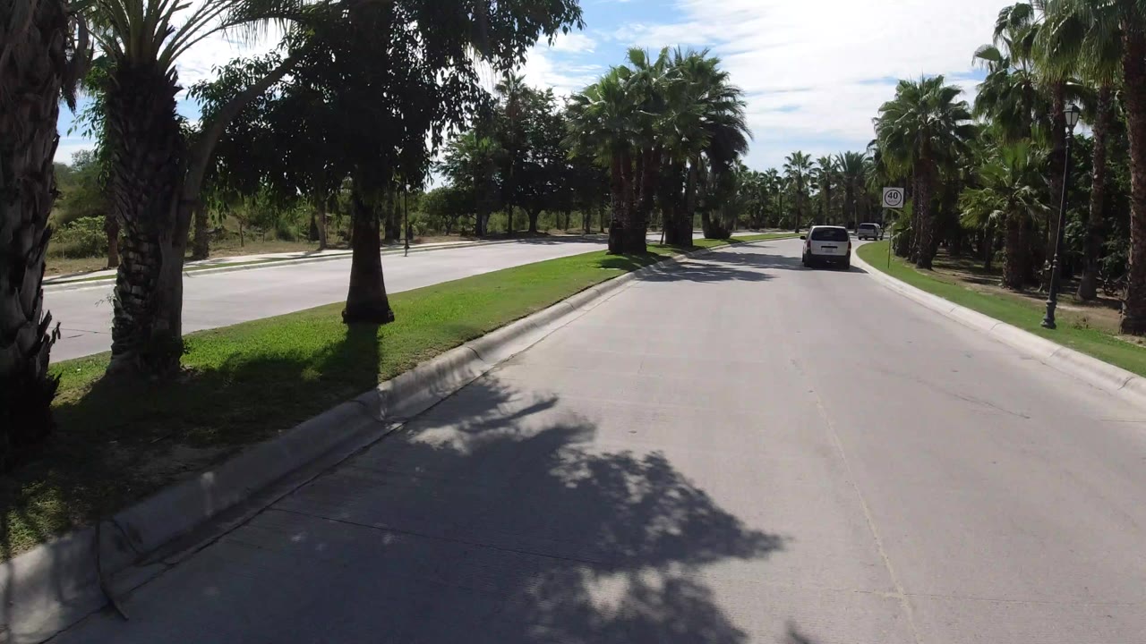 Palm-lined road with a white vehicle ahead