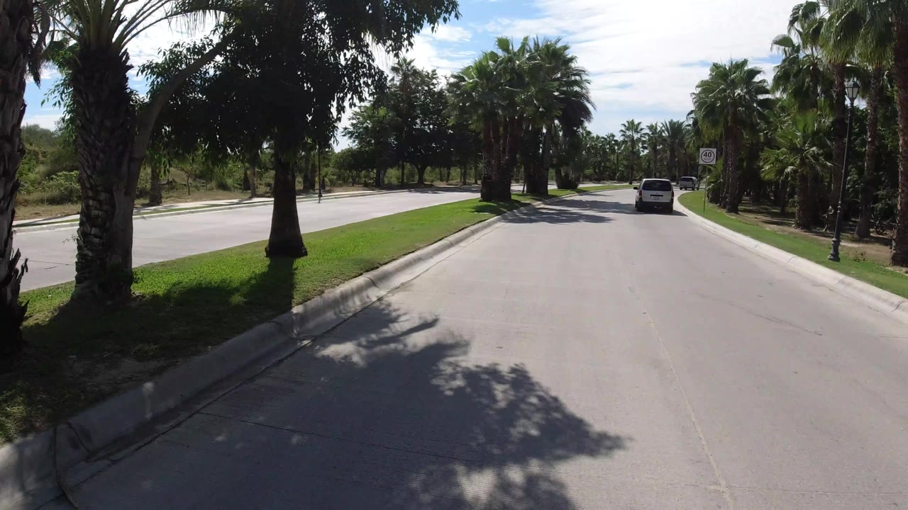 Straight road view in Los Cabos, Mexico, with a curbside grass strip, palms on both sides, light cloud cover, a white vehicle farther ahead, and no visible people.