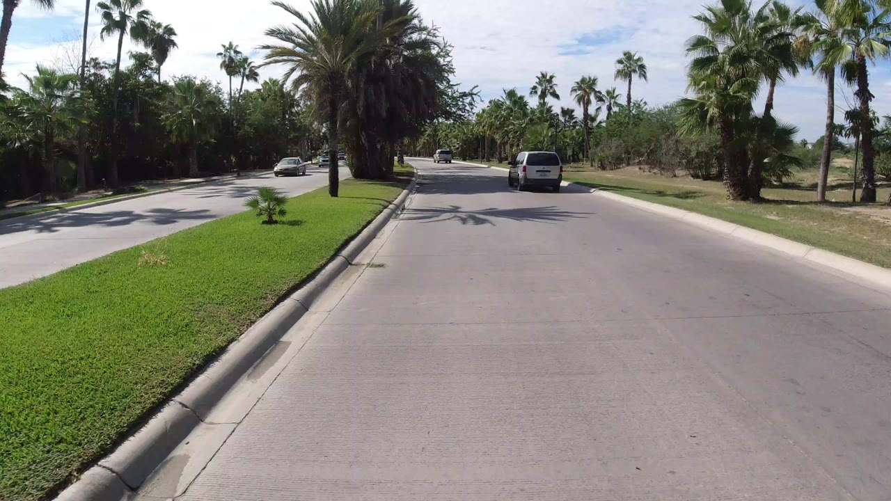 Palm-lined road with a white van ahead and landscaped grass along the curb.