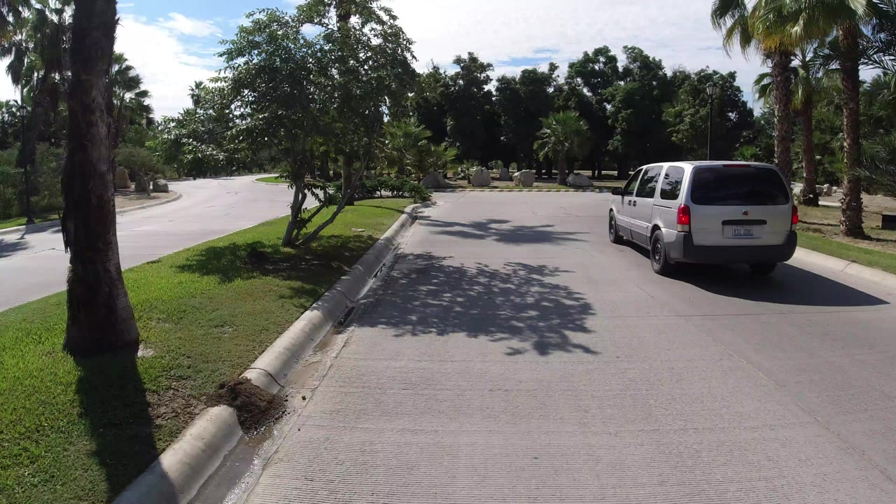 Light-colored minivan on a palm-lined road approaching a curve.