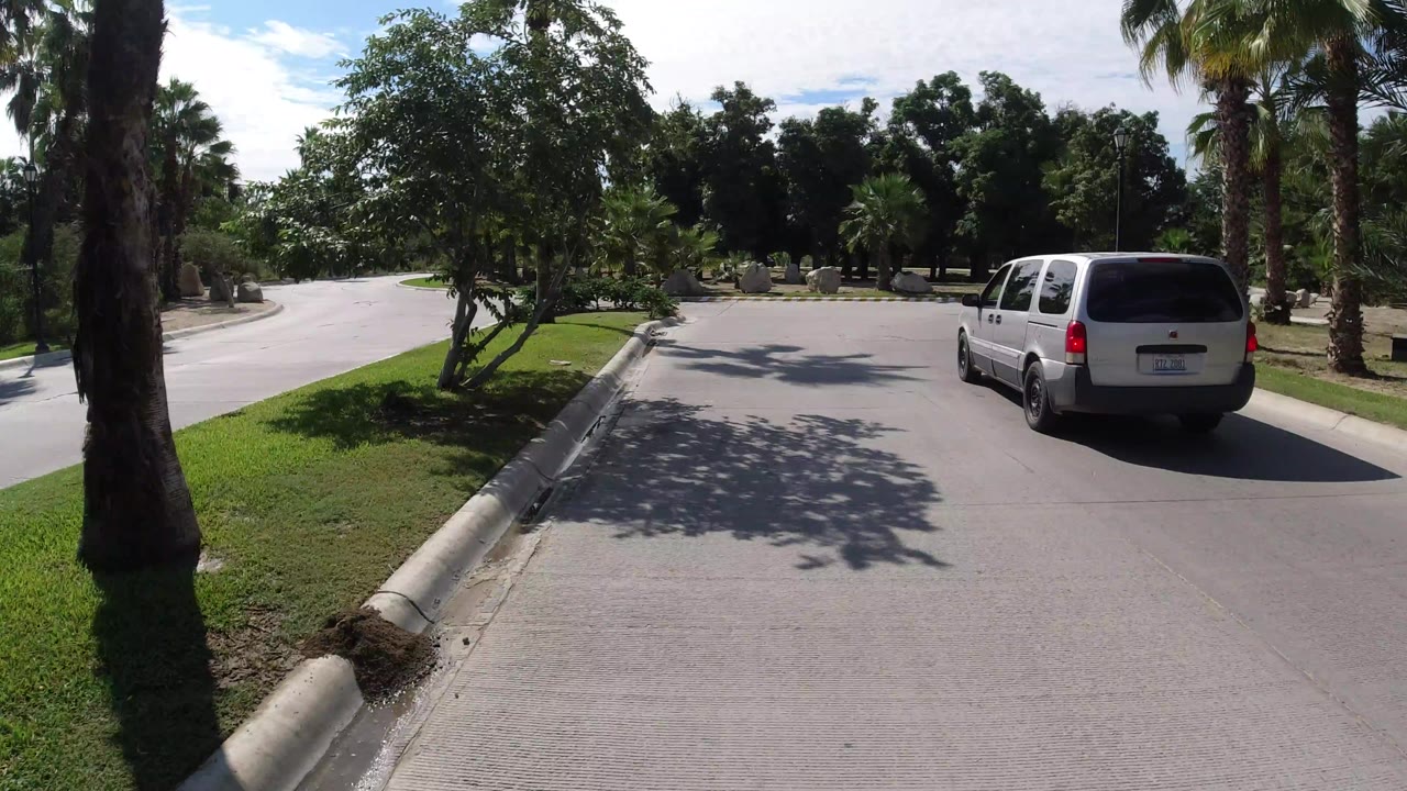 The minivan moves farther along the Los Cabos roadway, with a sloped curb, trimmed grass, palm trunks, and leafy trees framing the bend, with no visible people.