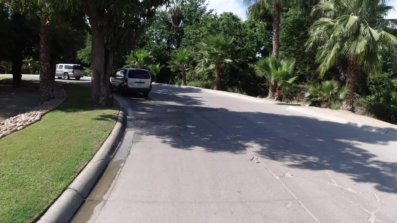 Light-colored Jeep on a curving paved road lined with palms and trees.