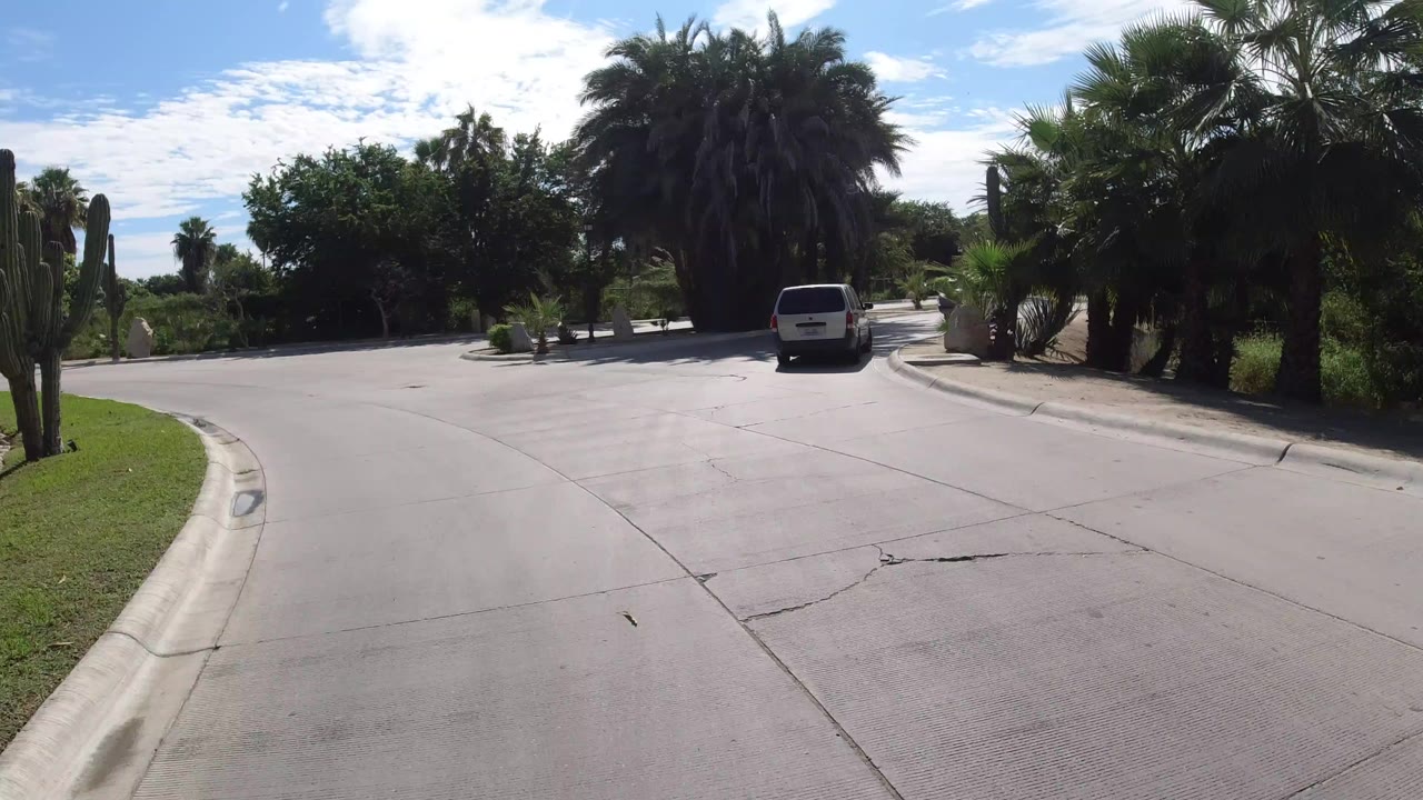 White vehicle on a curved palm-lined neighborhood road.