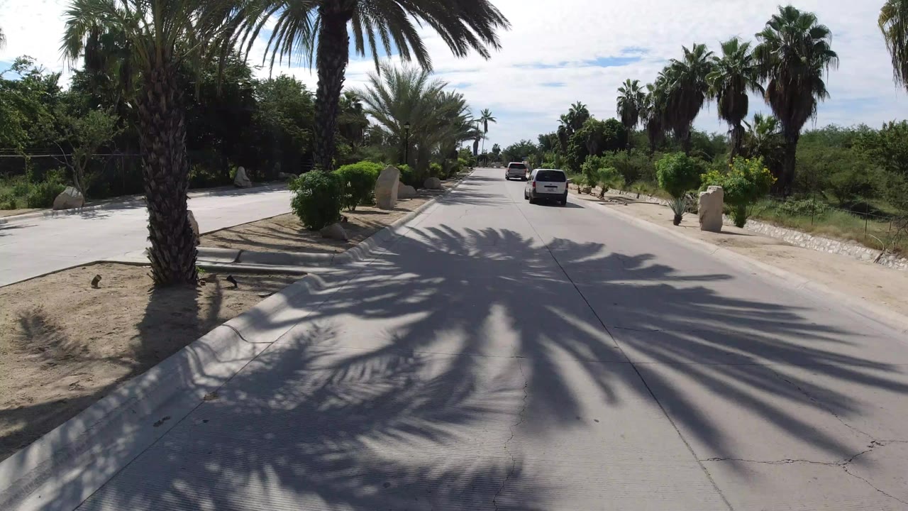 Los Cabos road view with a white vehicle ahead, tall palms on both sides, desert landscaping, and no visible people at the start of the clip.