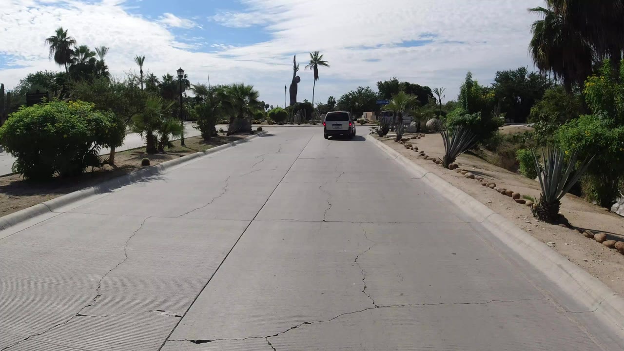 White vehicle ahead on a landscaped road with palms and shrubs.