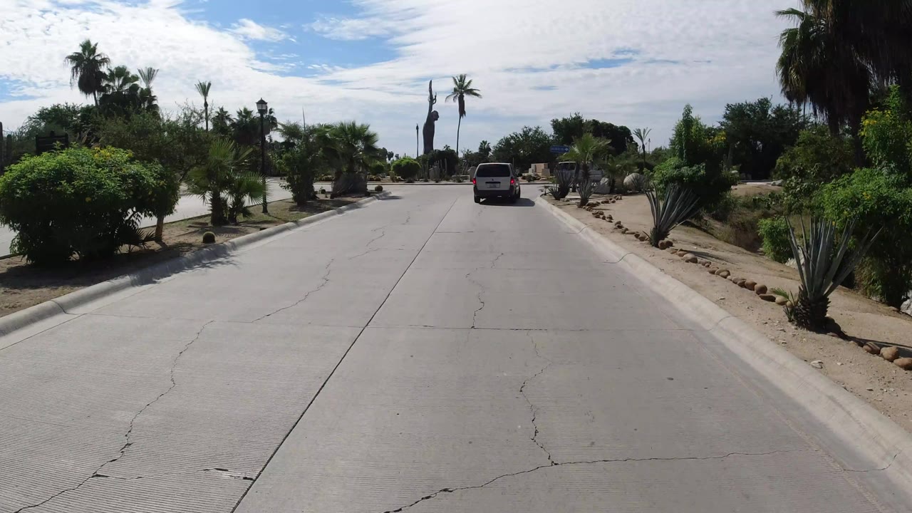 The white vehicle remains centered on the Los Cabos road as palms, low shrubs, agave-like plants, and curbside stones frame the route, with no visible people.