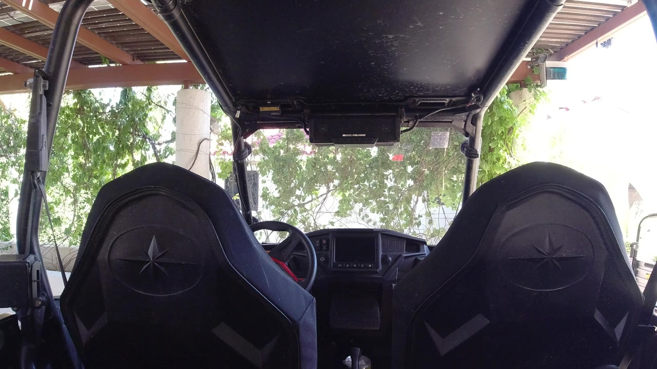 Empty open vehicle interior with two black front seats and leafy background.