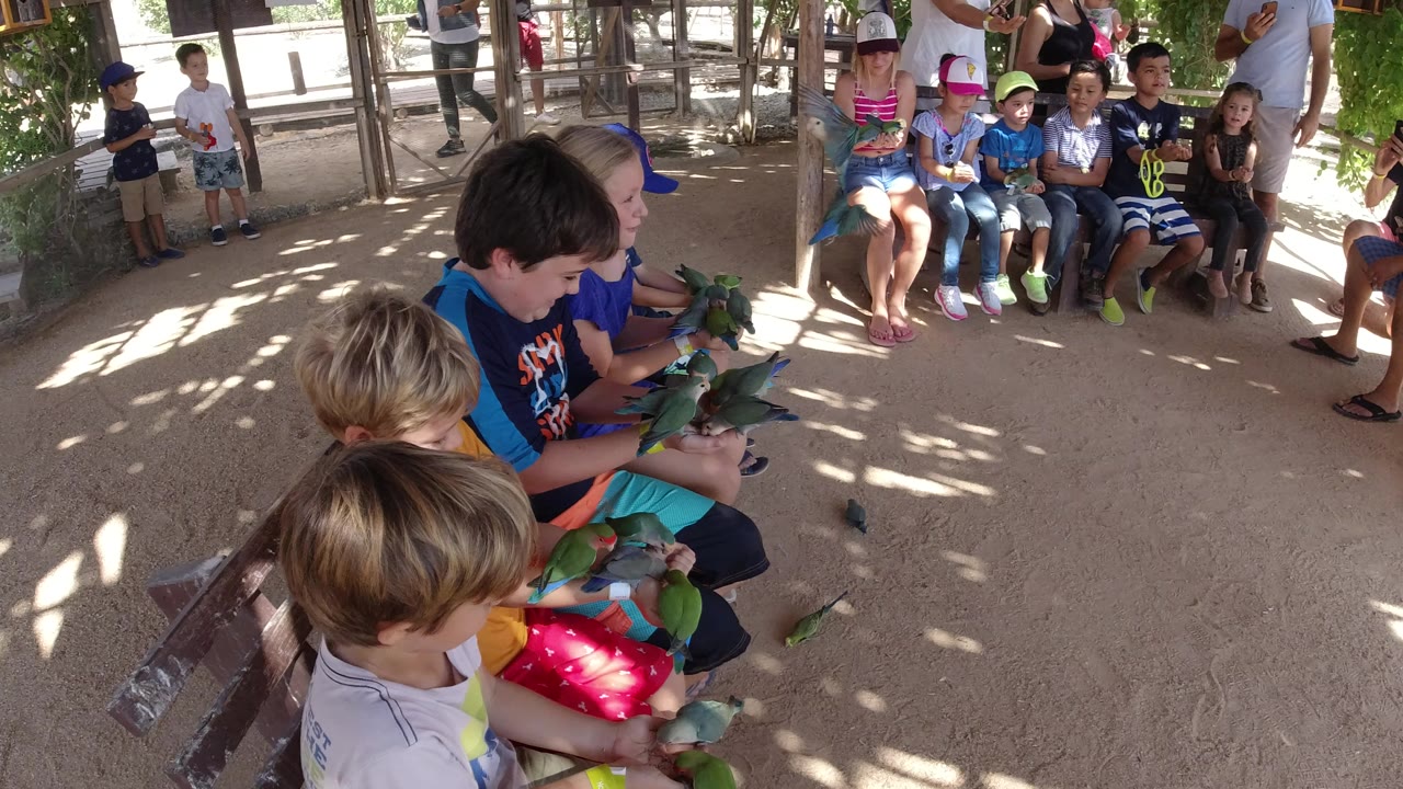 Children sit on a bench while small birds perch on their hands.