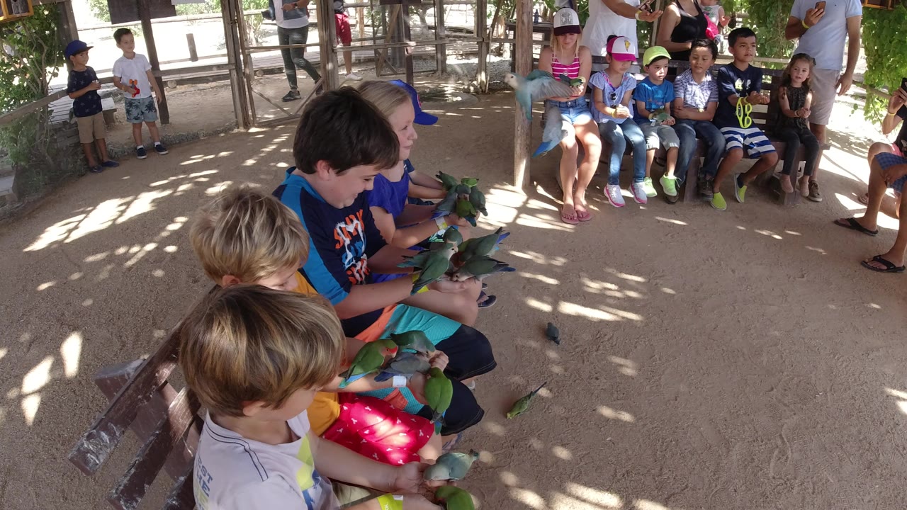 A group of children in Los Cabos, Mexico sit under shade while foreground children hold green birds and background children line a bench behind them.